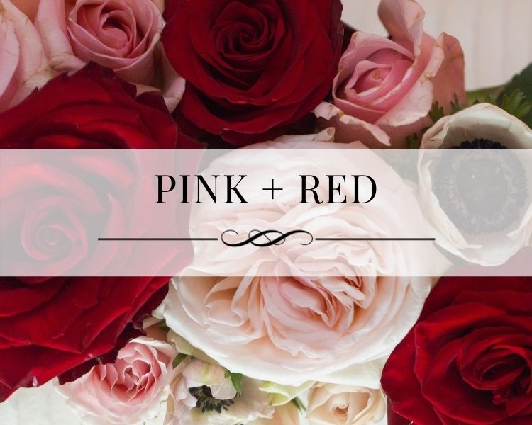 Pink and Red Portfolio Gallery