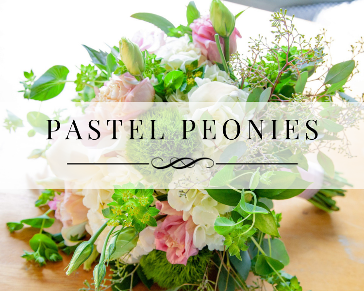 Pastel Peonies Portfolio Gallery