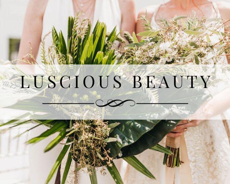 Luscious Beauty Portfolio Gallery