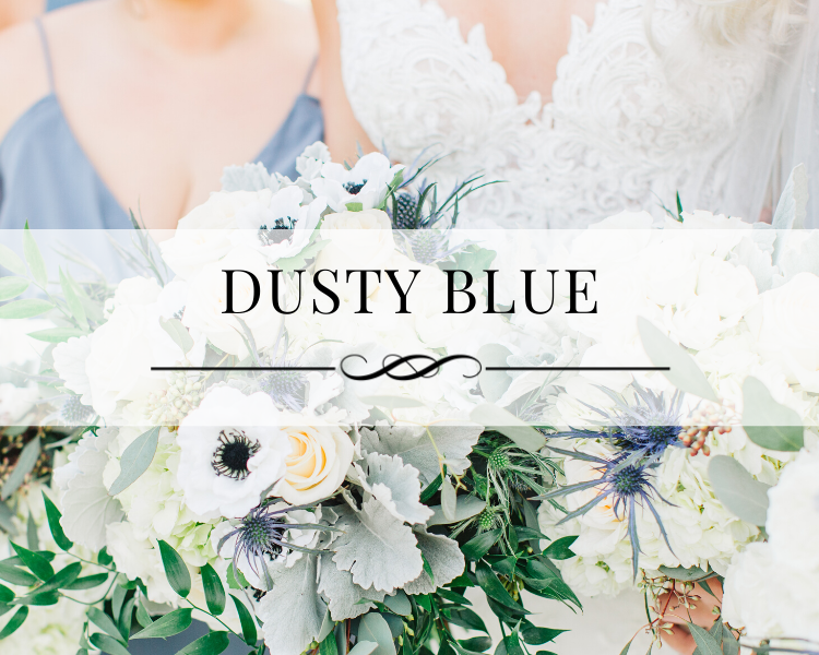Dusty Blue Portfolio Gallery