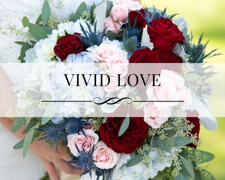Vivid Love Portfolio Gallery