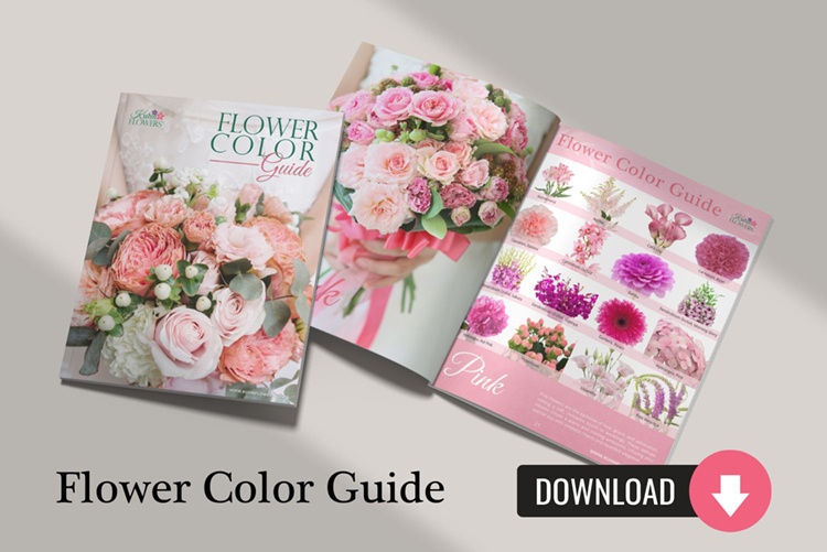Flower Color Guide