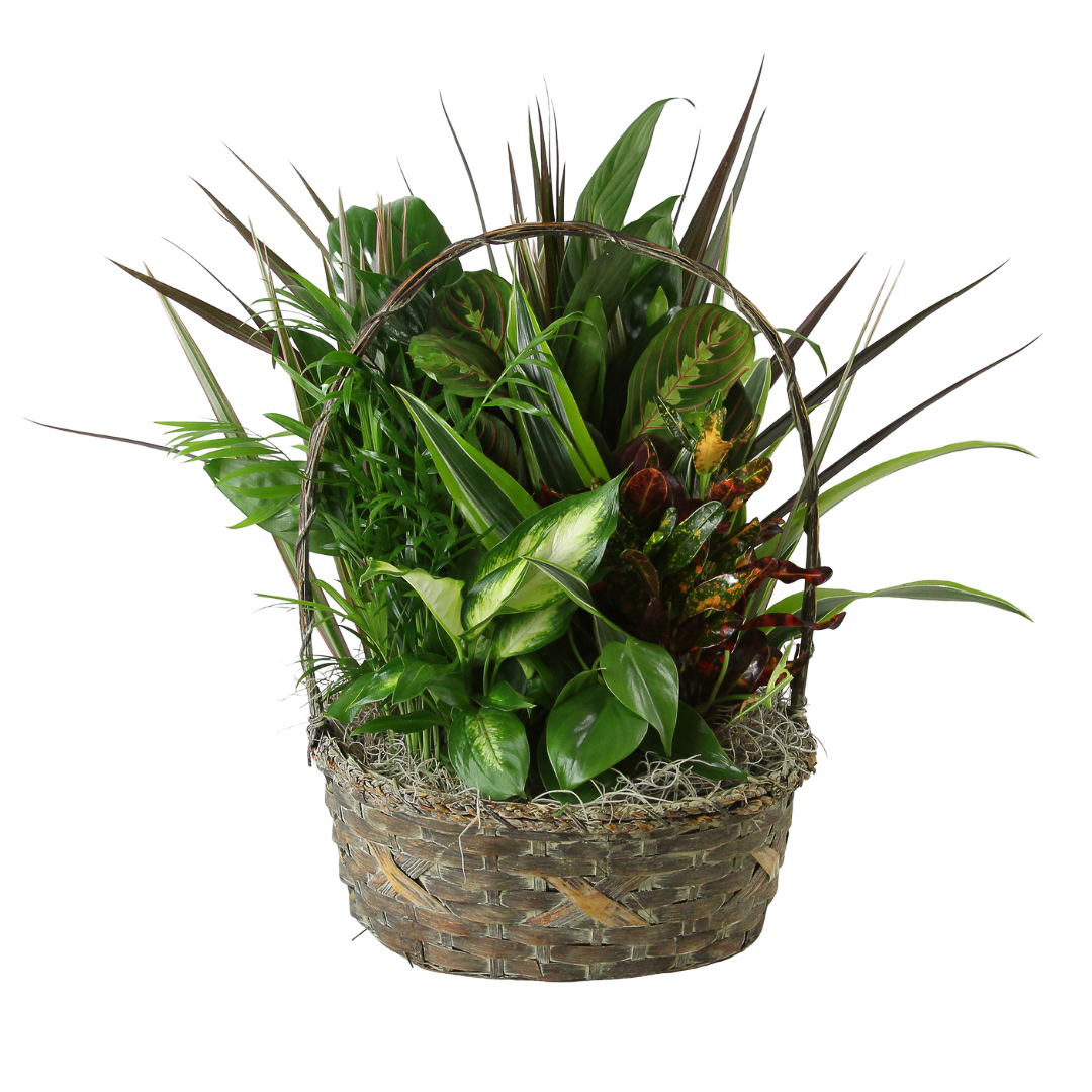 Sympathy Basket Garden 12"