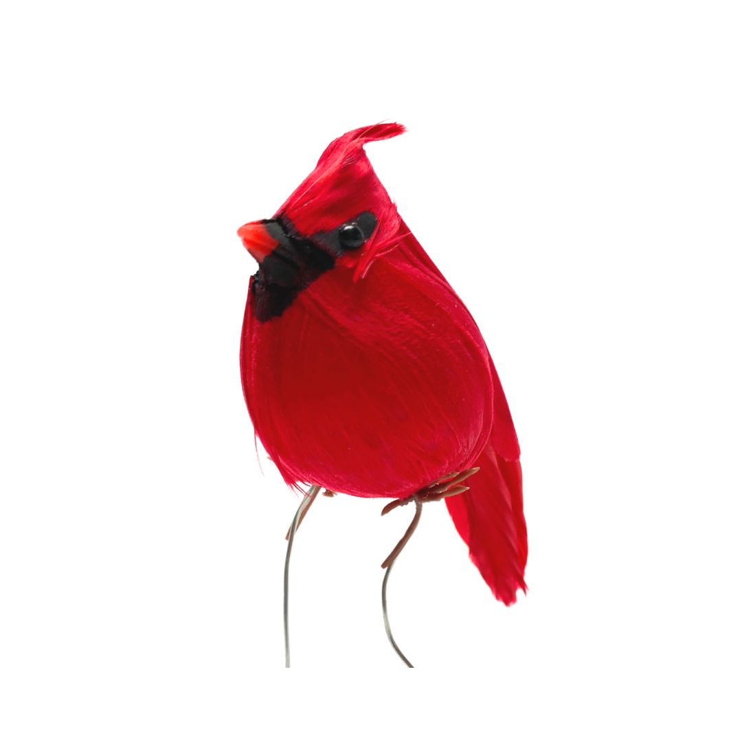 Add Red Cardinal