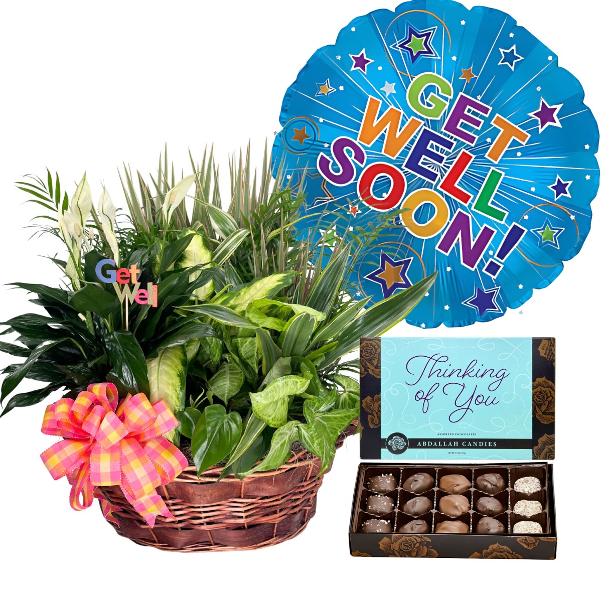Plant & Positivity Bundle
