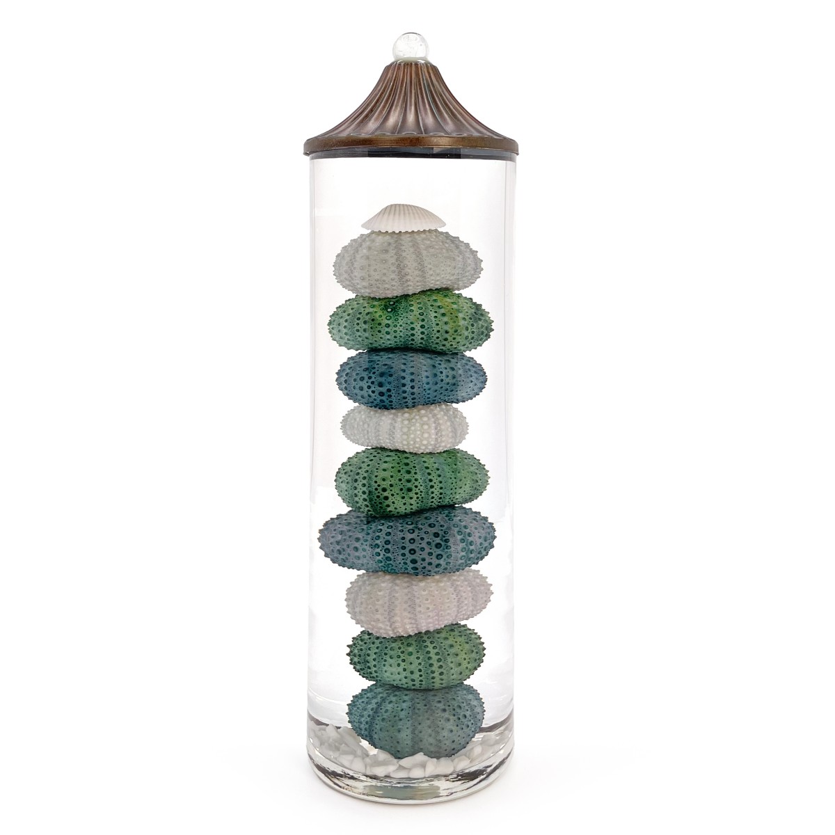 Lifetime Candle - Sea Urchin XL Cylinder