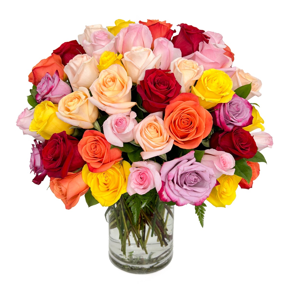 100 Kaleidoscope Roses
