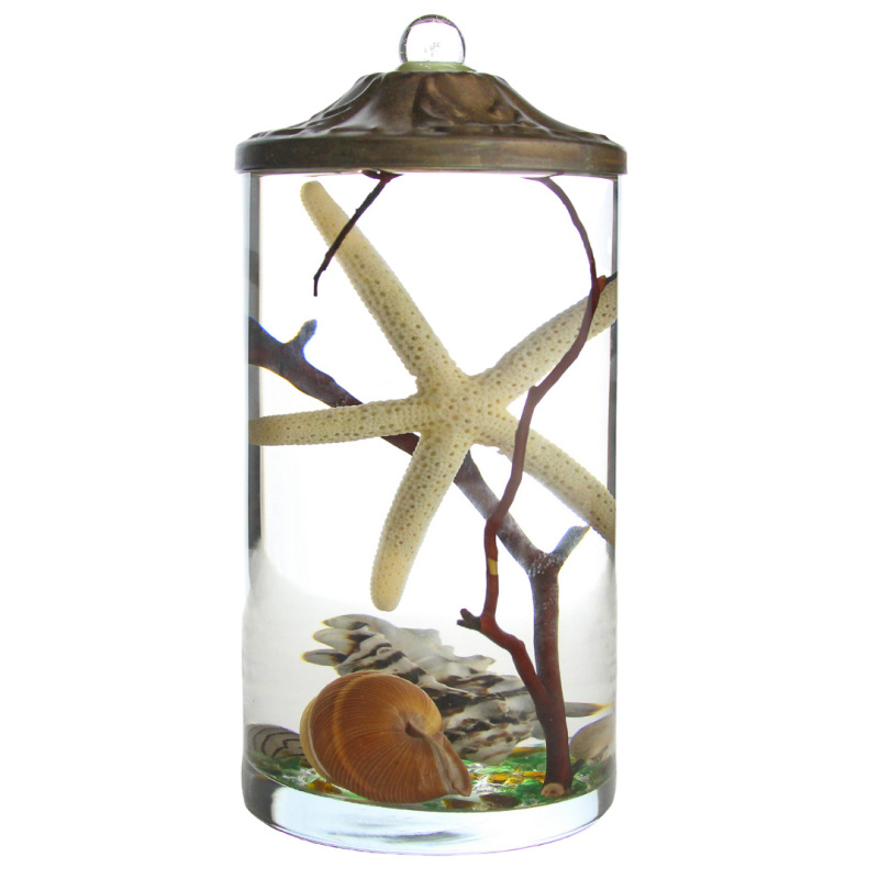 Lifetime Candle - Seashell Cylinder