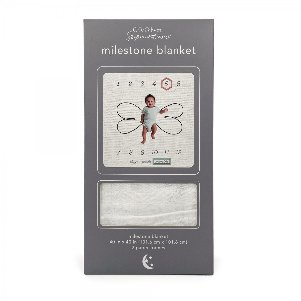 Milestone Blanket