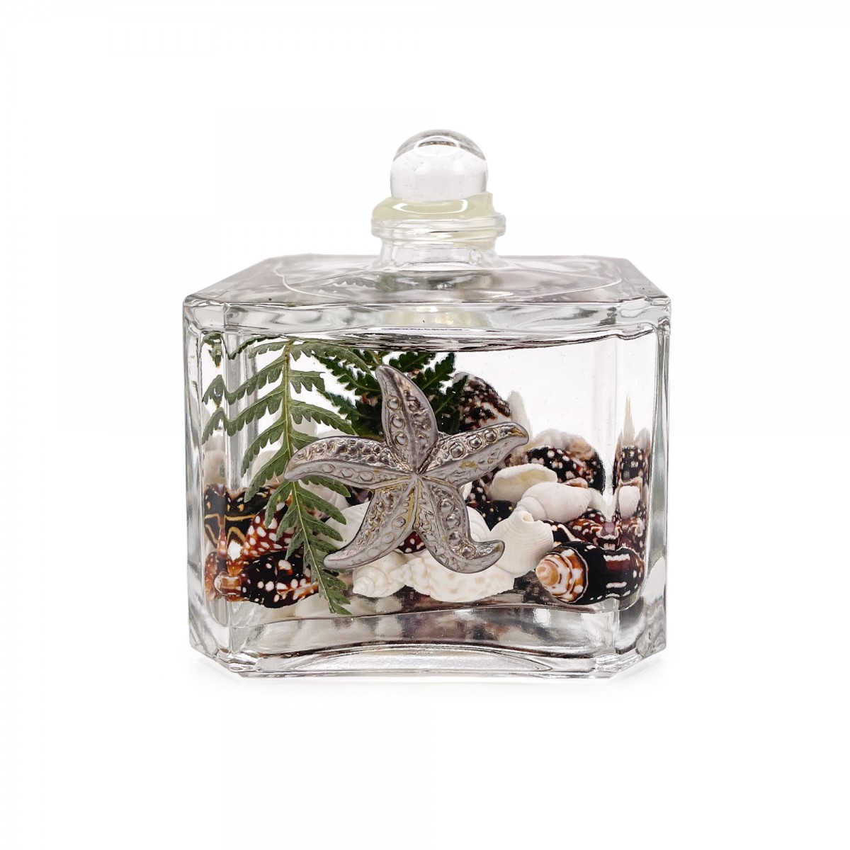 Lifetime Candle - Seashell Cube