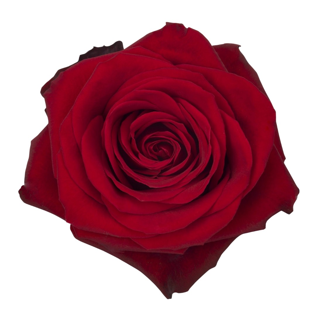 Add 3 Roses