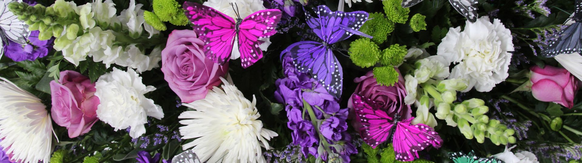 Sympathy Collection
