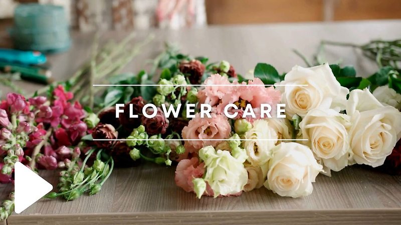 flower care