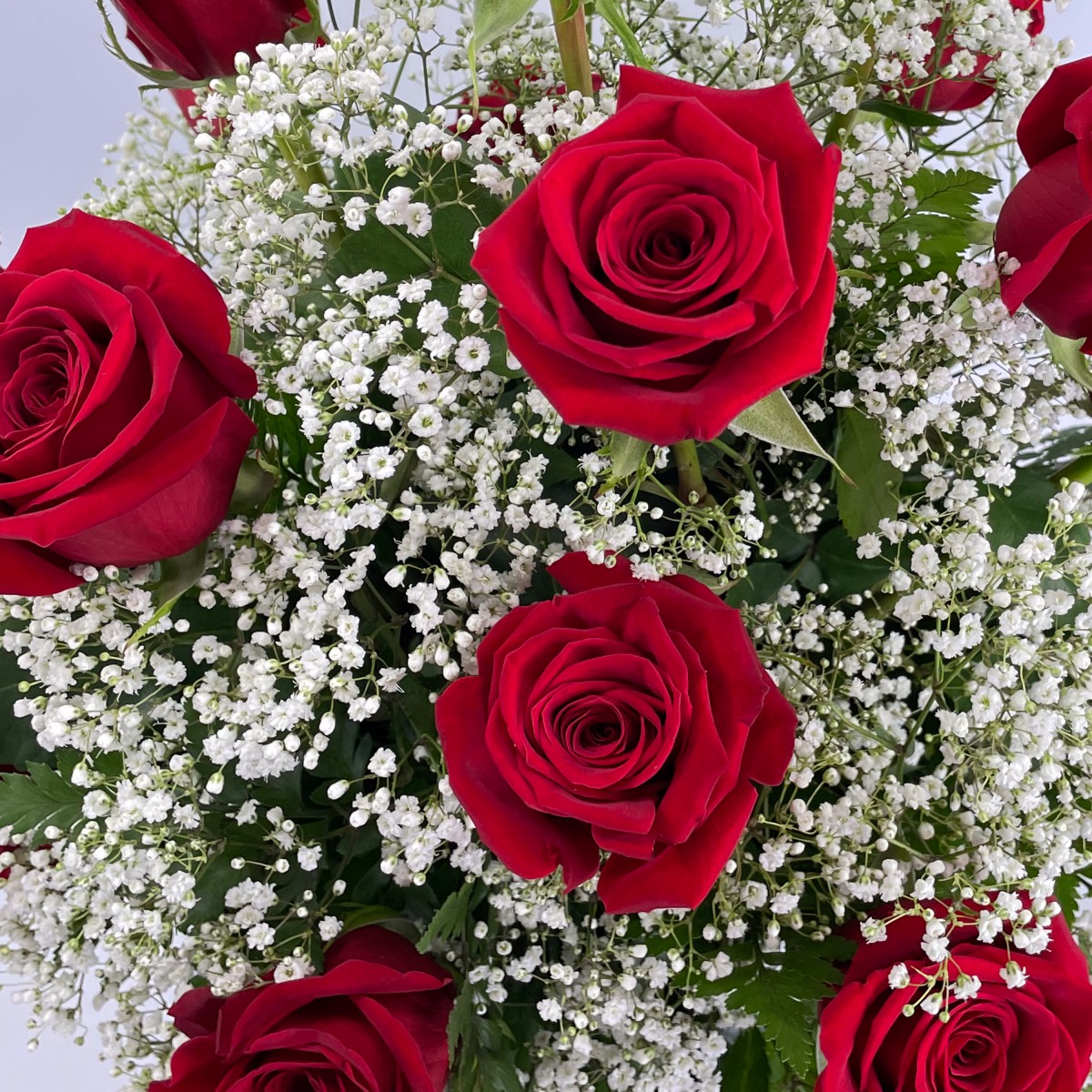 18 Roses Red - Image 2