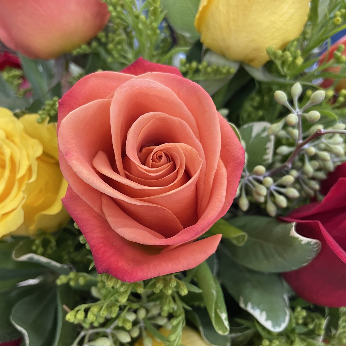 Modern Fall Roses - Image 2