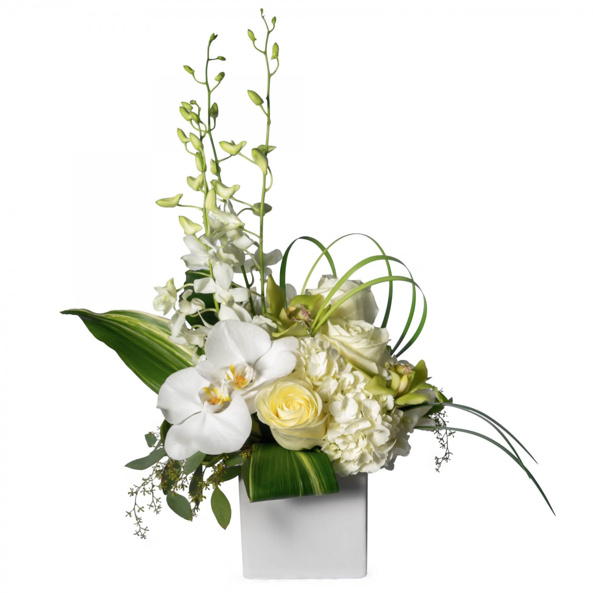 Ivory Passion