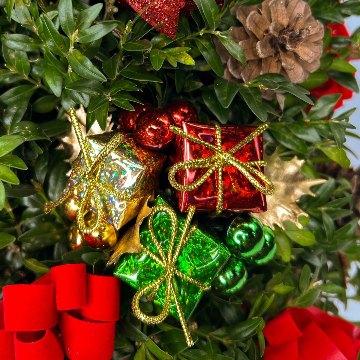 Deck the Halls - Image 2