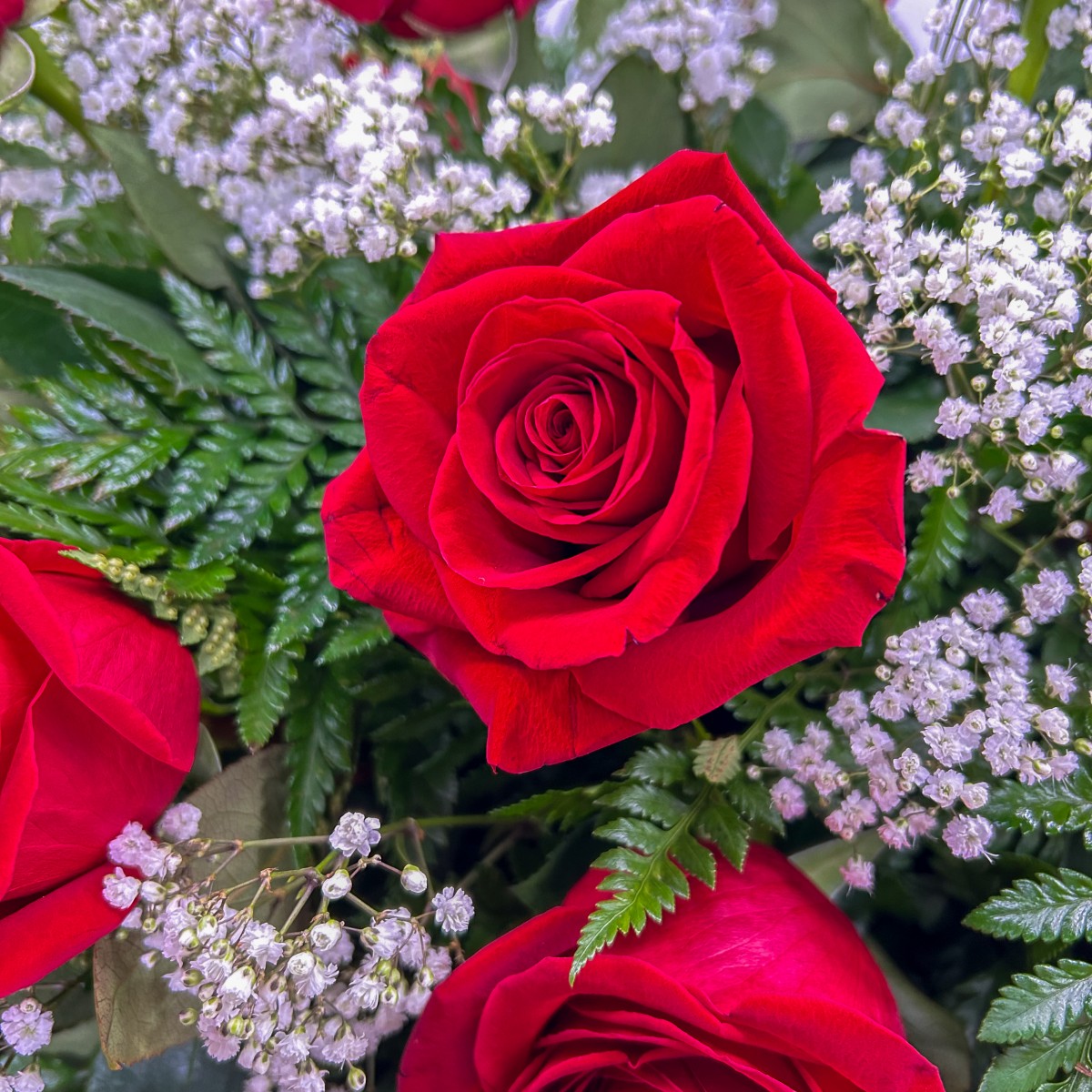 Classic Red Rose Casket Spray - Image 2