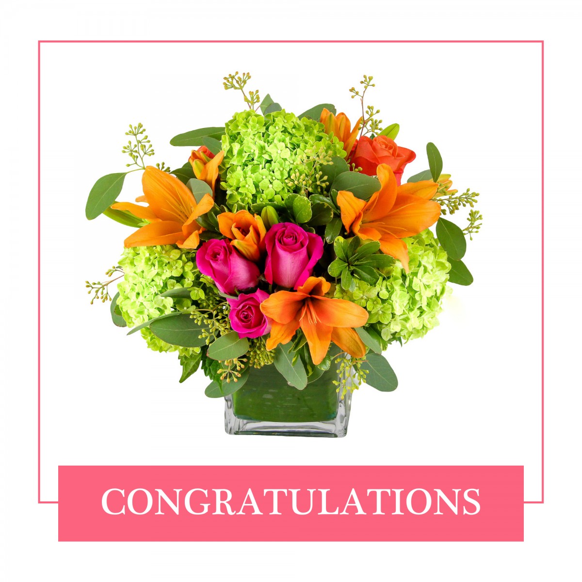 Congratulations