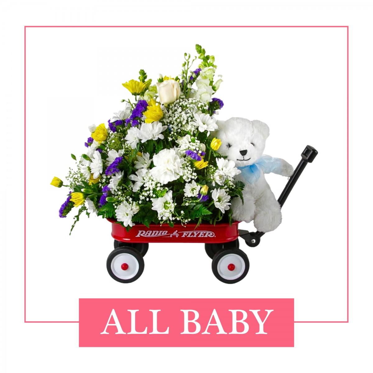 All Baby