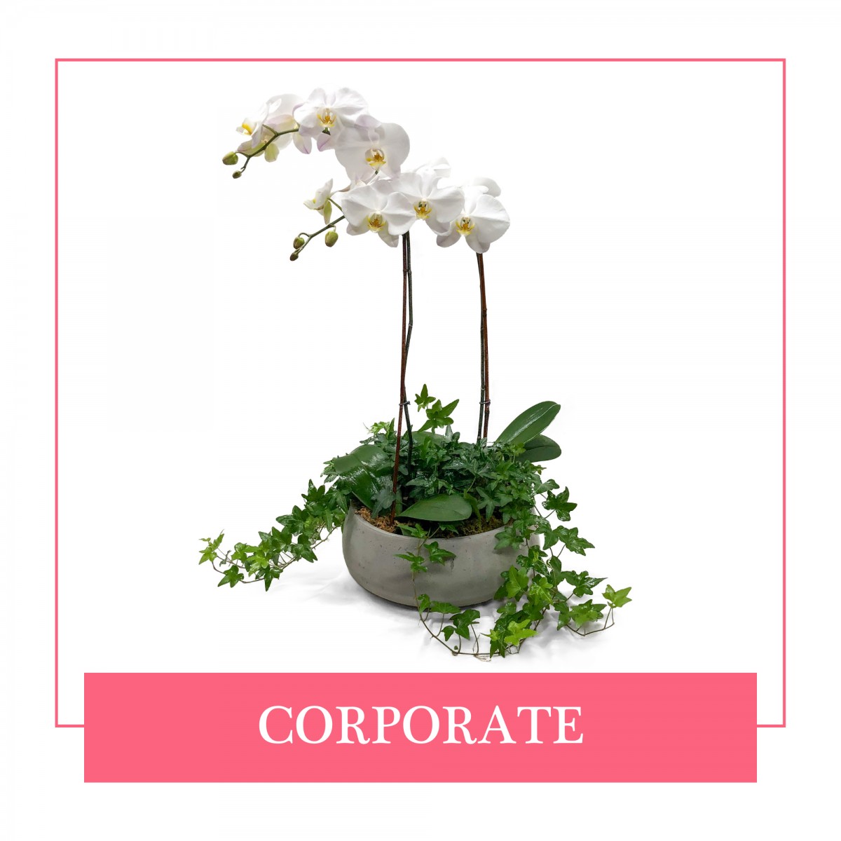Corporate