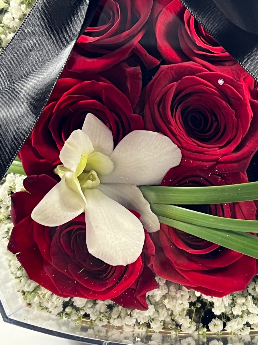 Red Romance - Image 2
