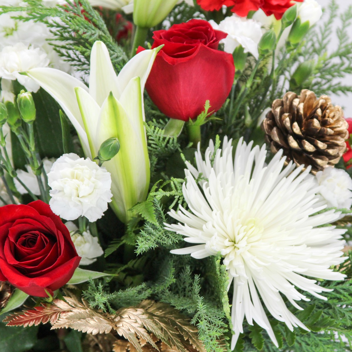 Winter Fresh - Image 3