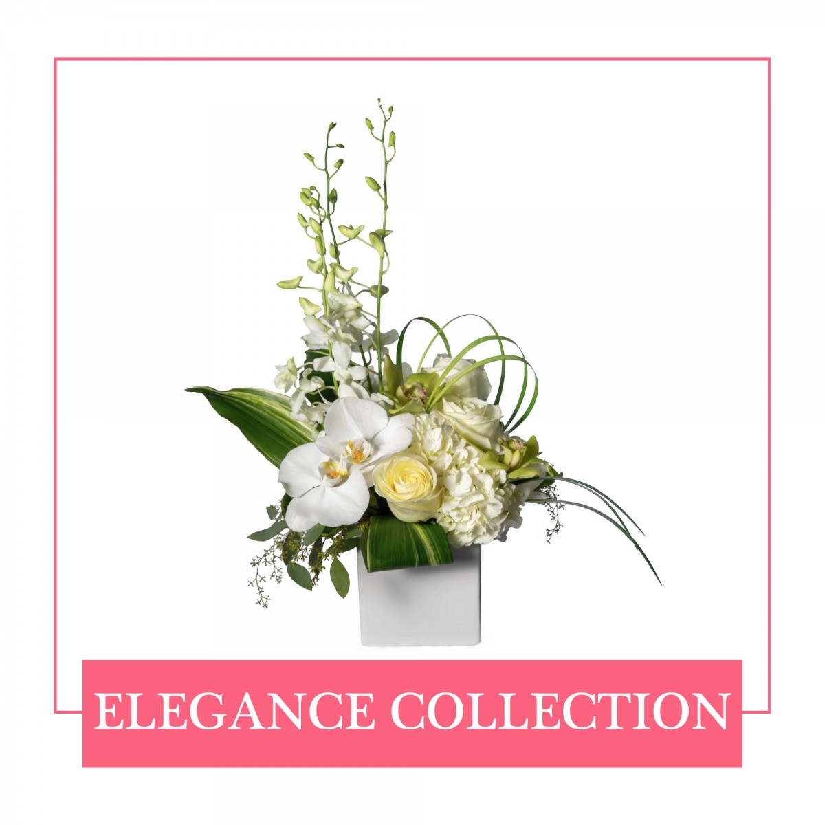 Elegance Collection