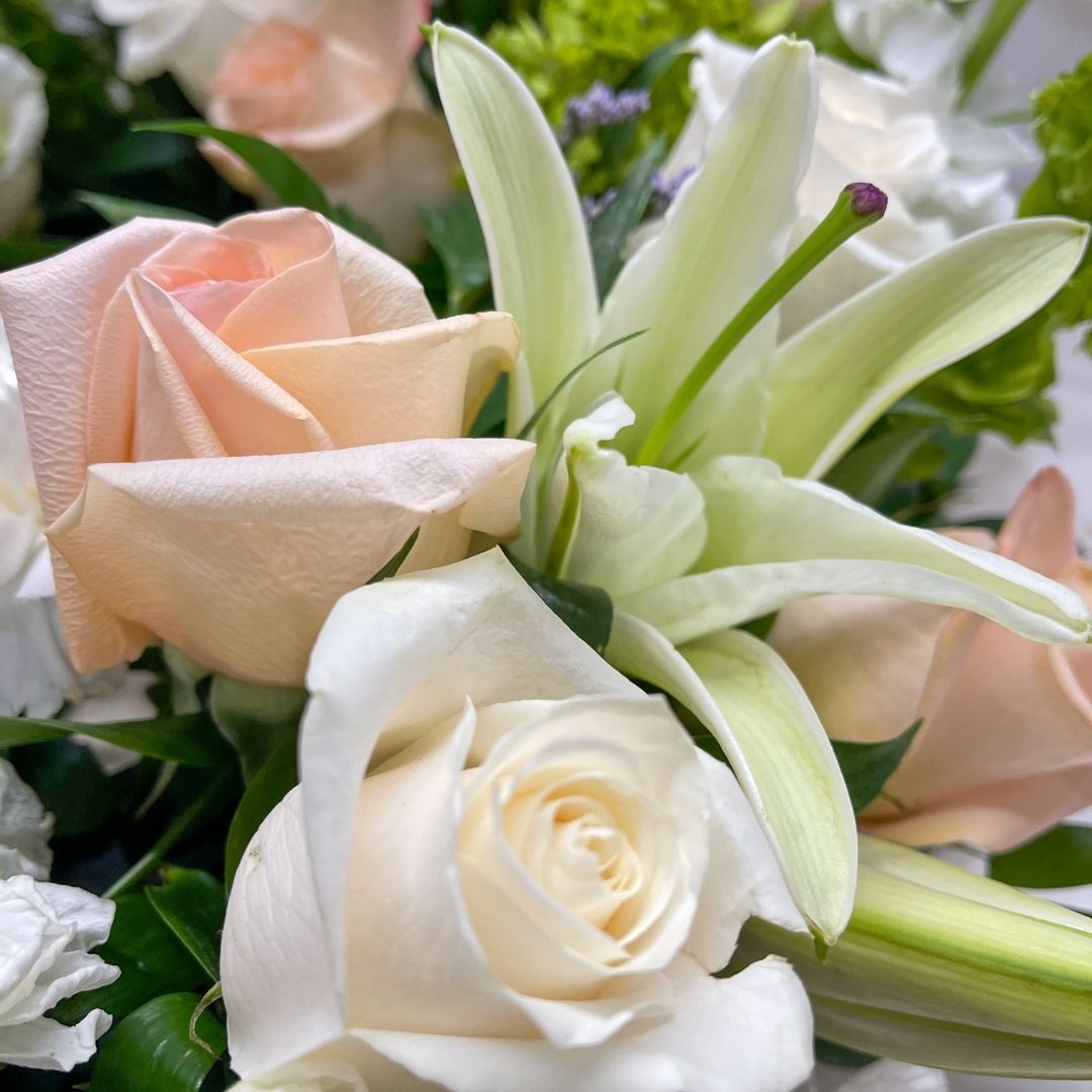 Peach and White Angel - Image 2