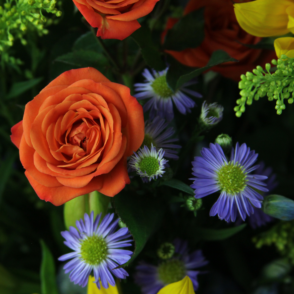 Fragrant Meadows - Image 3