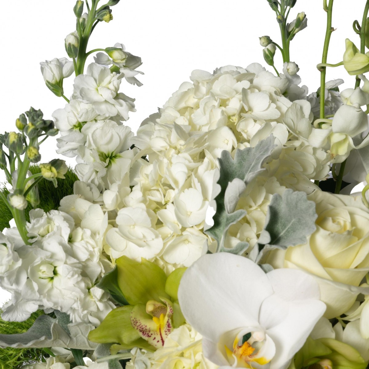 Divine Elegance - Image 2
