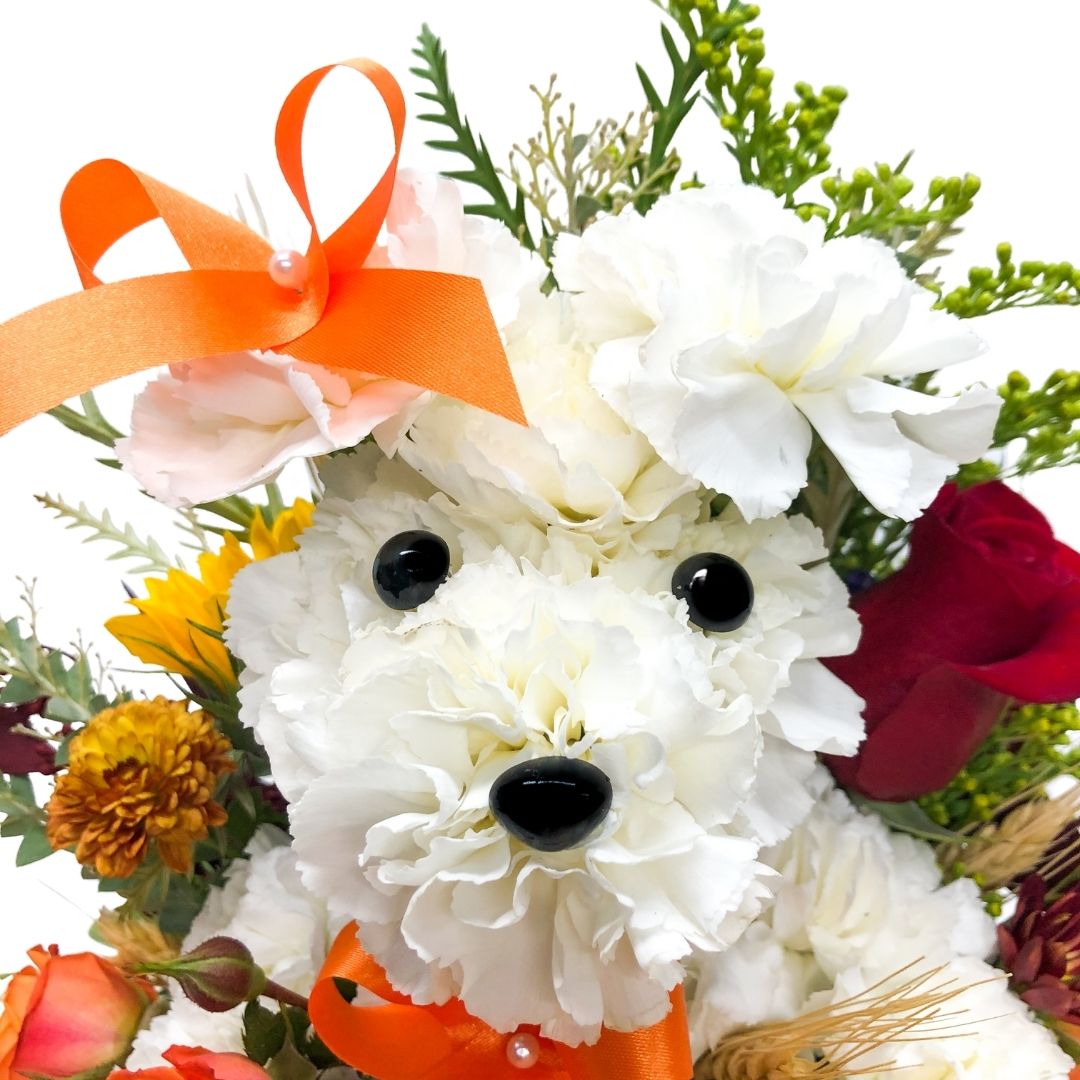 Pumpkin Pooch - Image 2