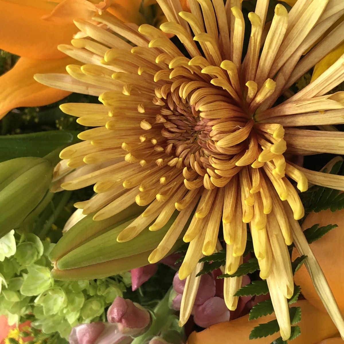 Sunflower Fields - Image 4