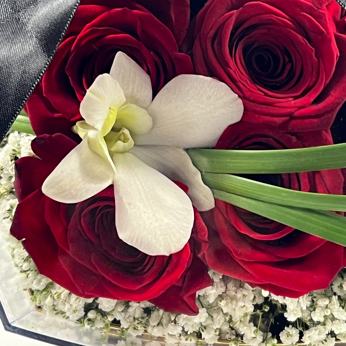 Red Romance - Image 3