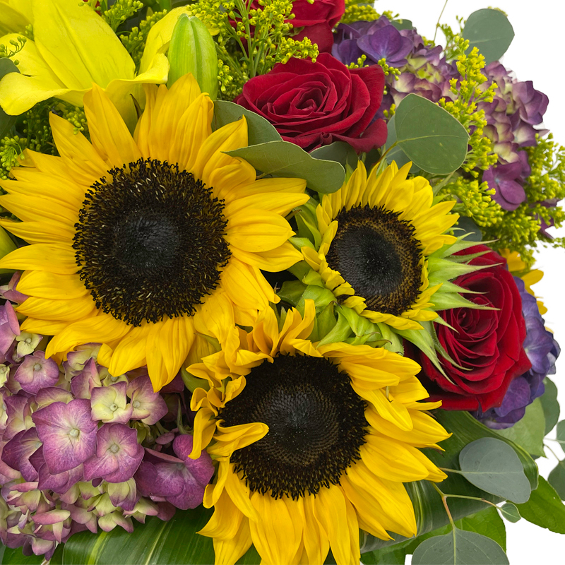 Abundance of Fall - Image 3