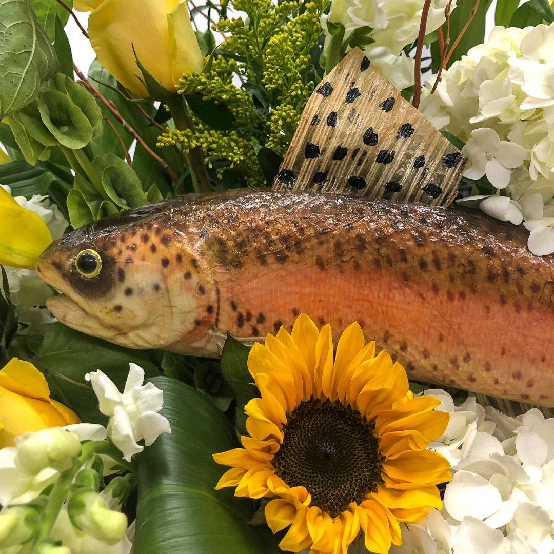 Anglers Paradise - Image 2