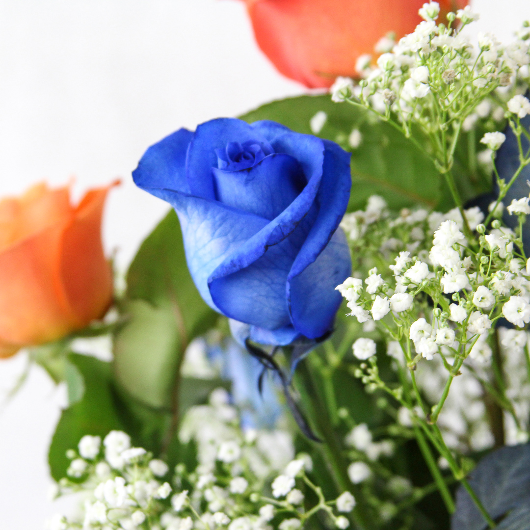 1 Dozen Roses Florida Gator Colors - Image 3