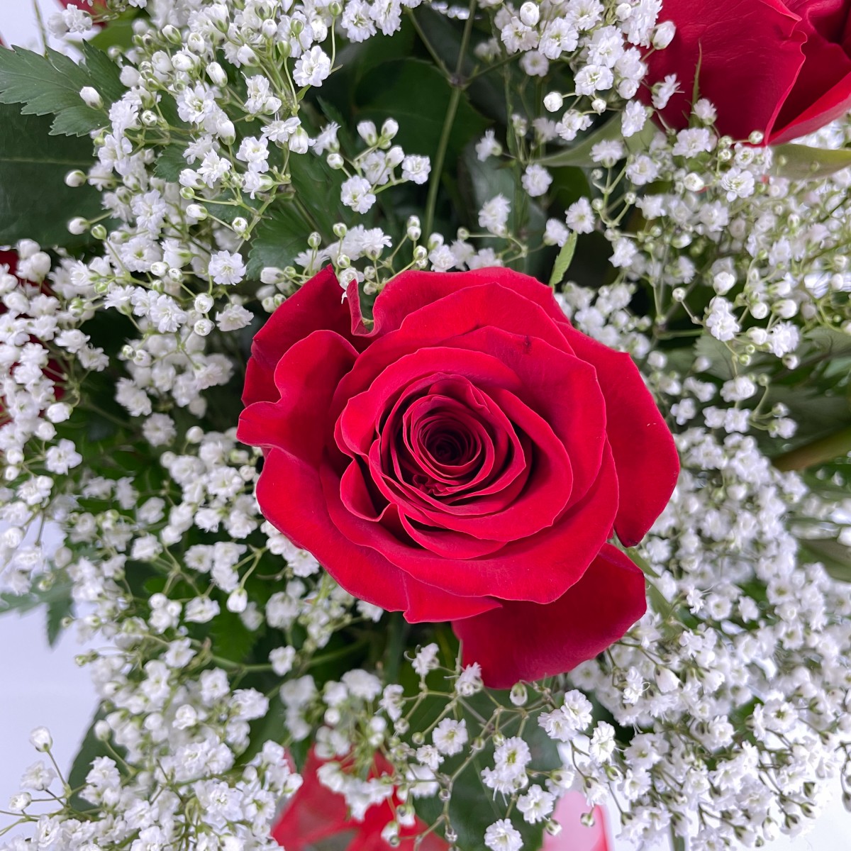 18 Roses Red - Image 3
