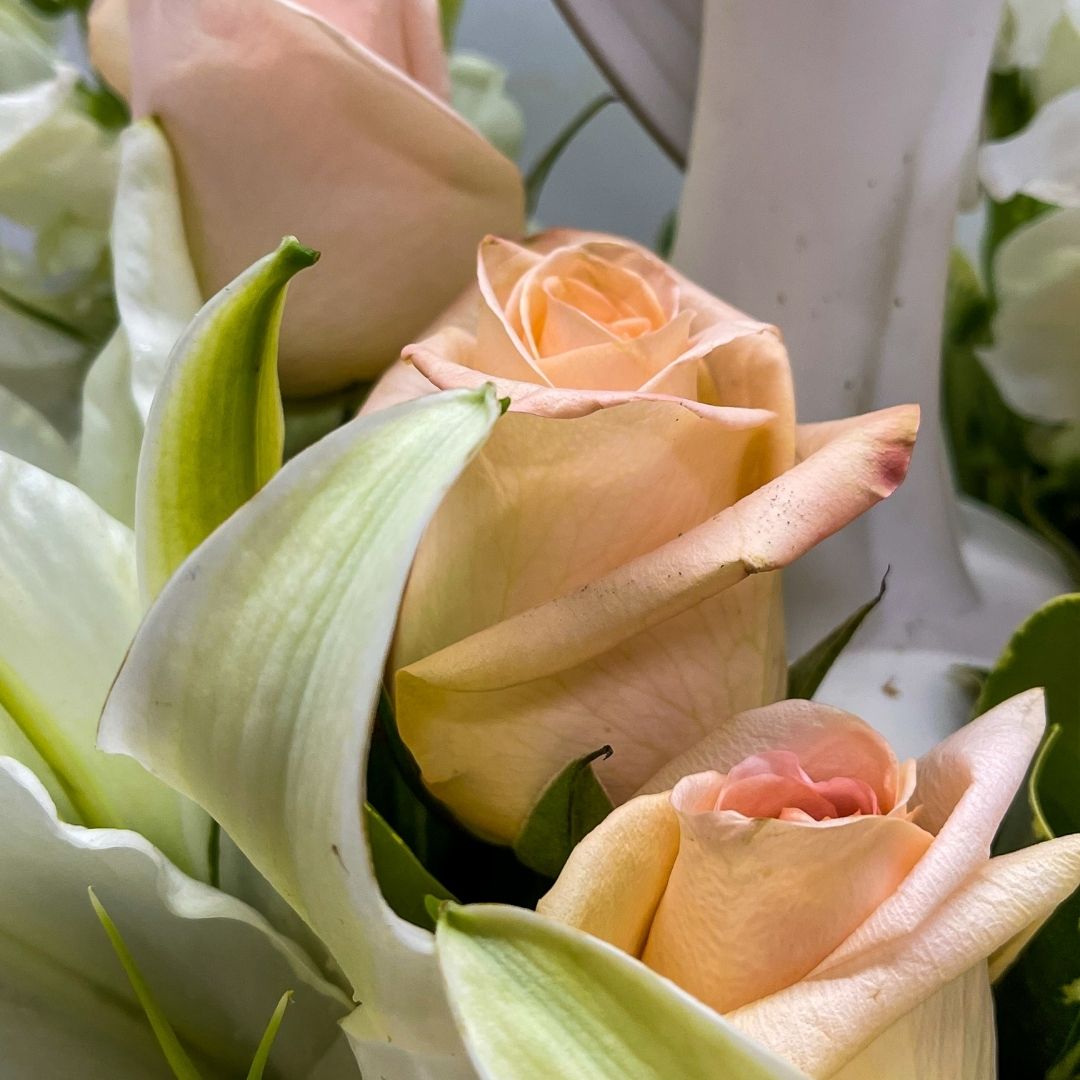 Peach and White Angel - Image 3