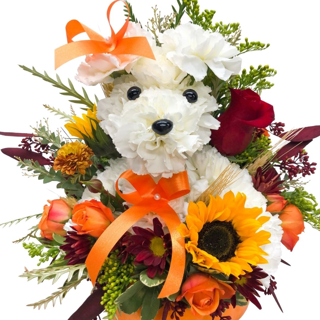 Pumpkin Pooch - Image 4