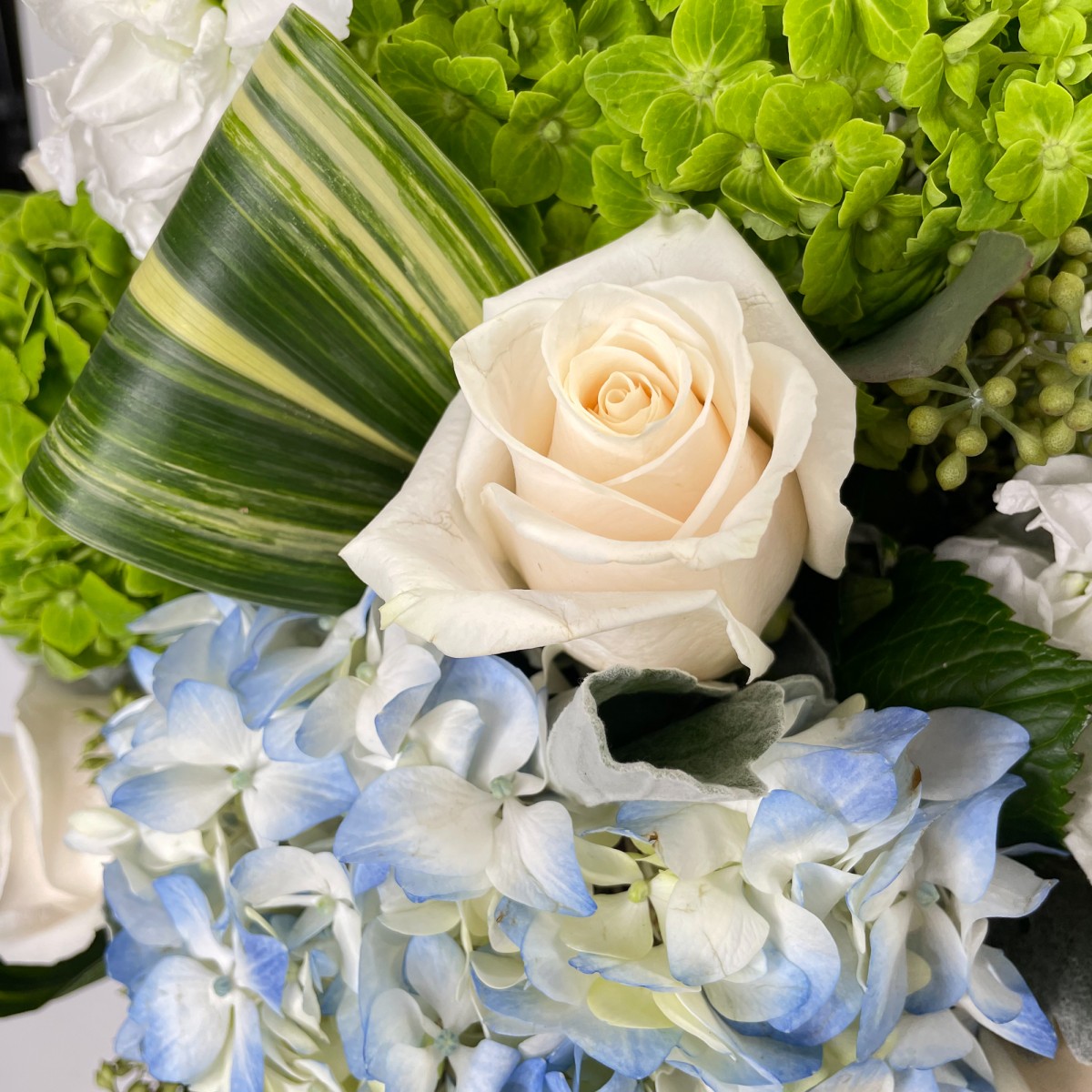 Superior Sights Bouquet - Image 3