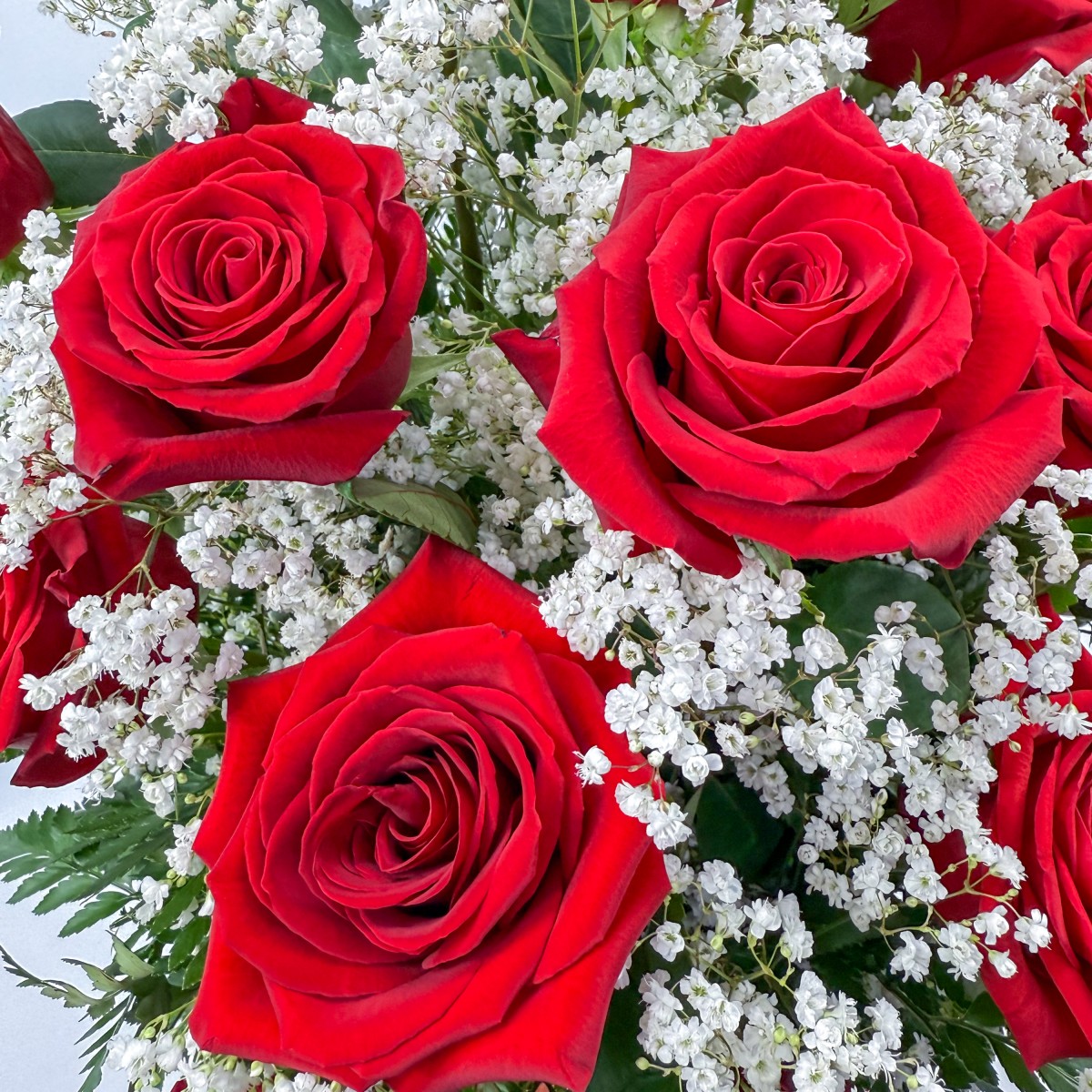 2 Dozen Roses Red - Image 2