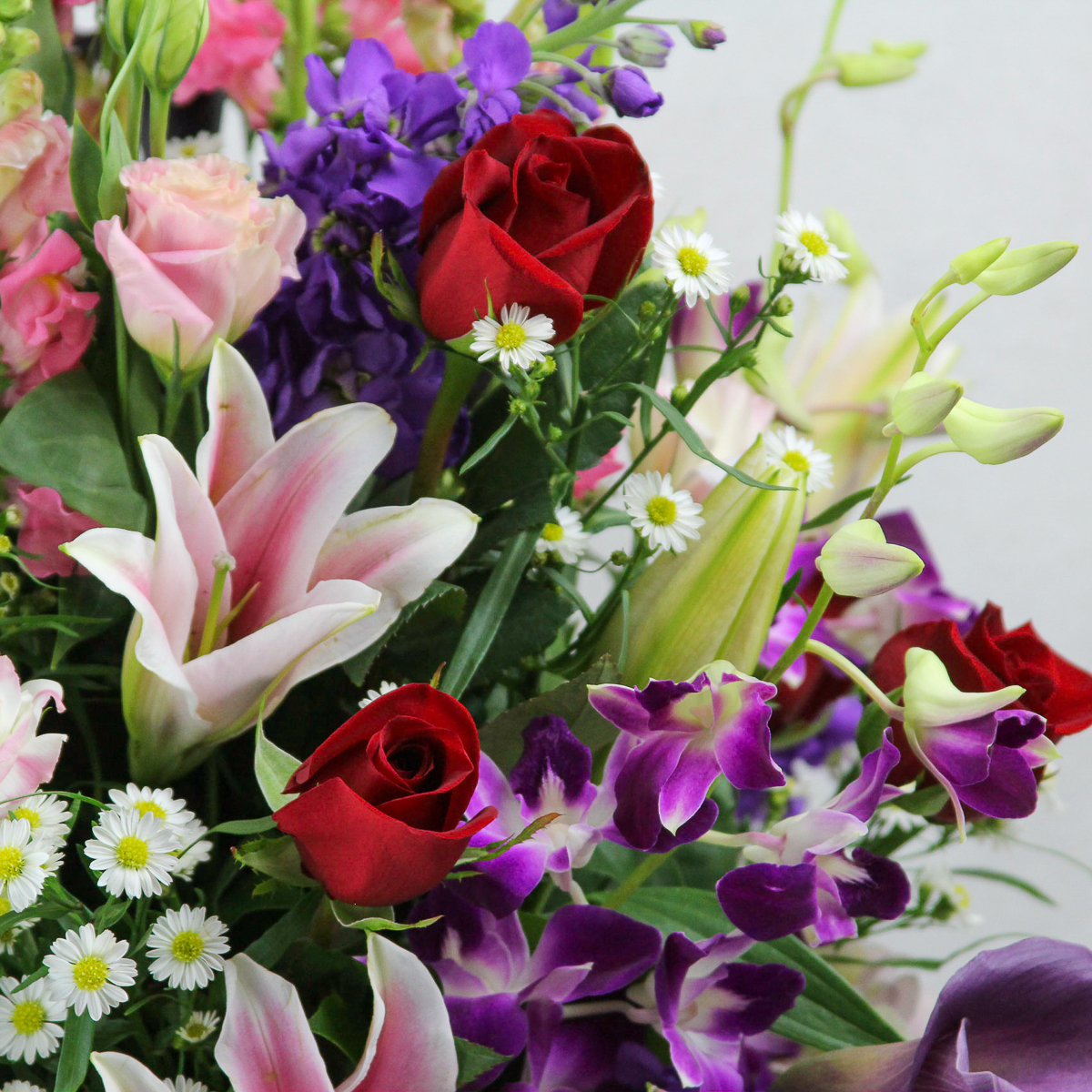Gracious Love - Image 3