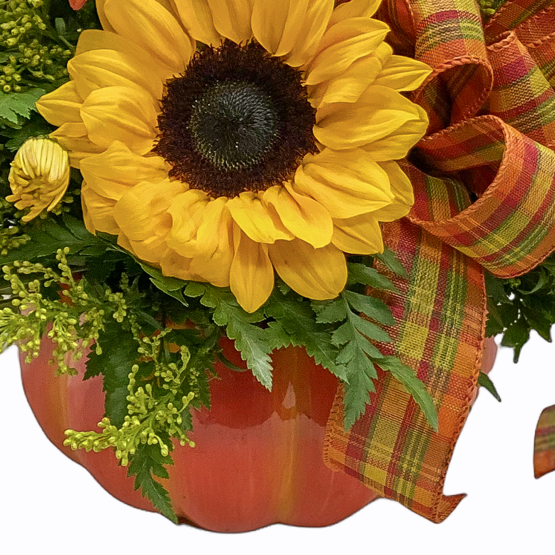 Pumpkin Spice - Image 3