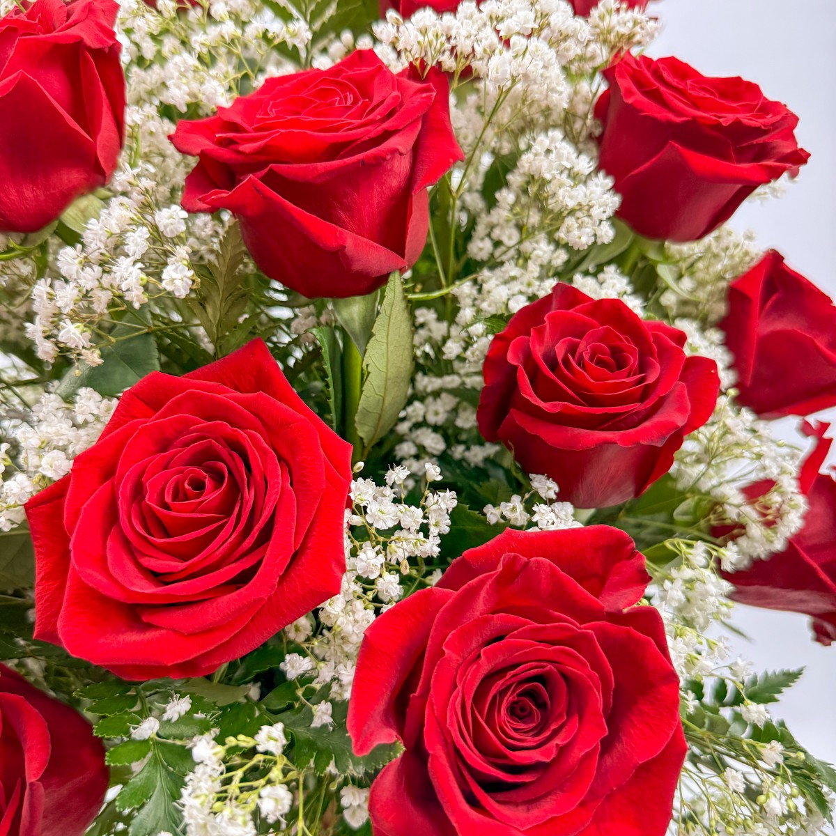 2 Dozen Roses Red - Image 3