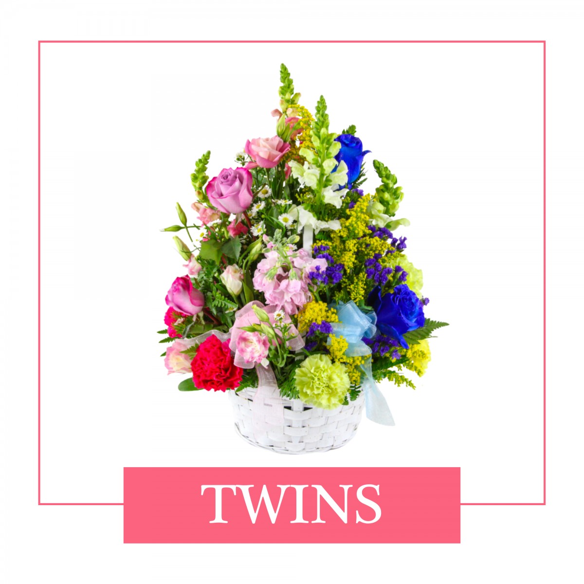 Twins