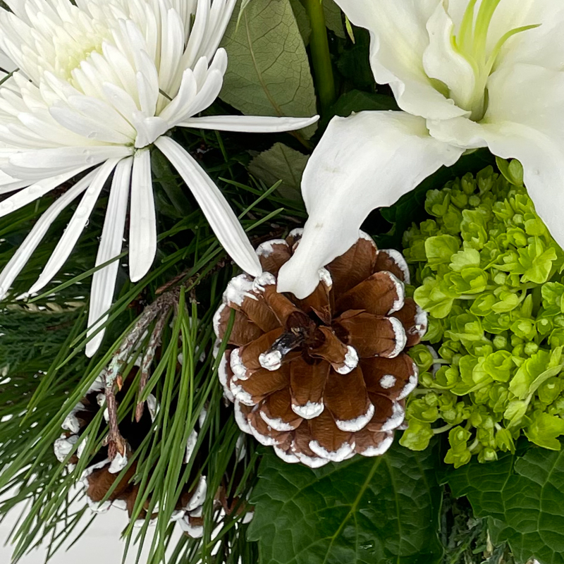Christmas Miracle - Image 5
